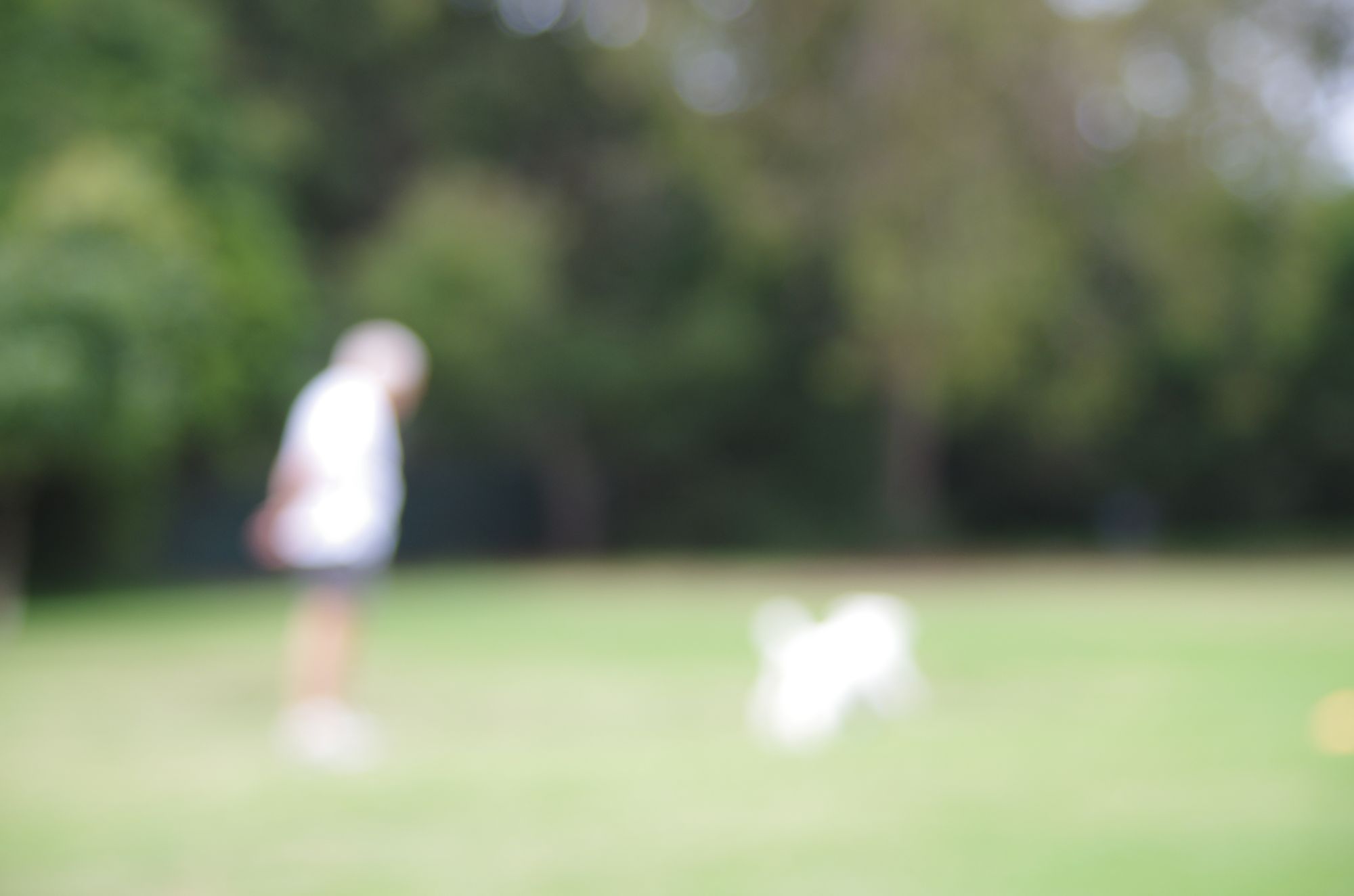 A man and a white dog on a green field, out of focus